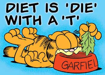 le pauvre garfield !