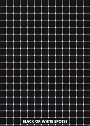 aller ! decouvrir la magie noire dans 7 image !